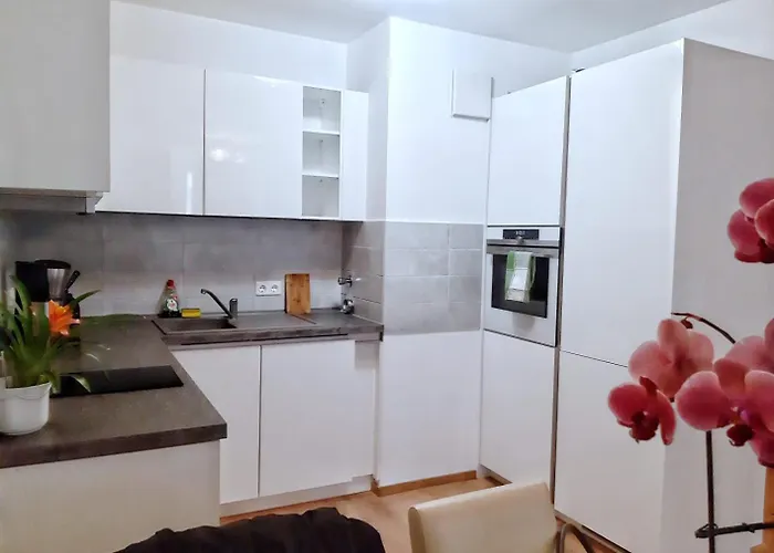 Lea Apartment Zentrum